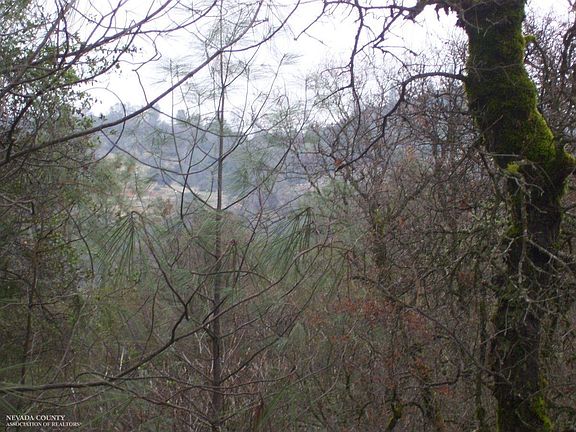 2nd image of 12180 Mellow Pines Dr