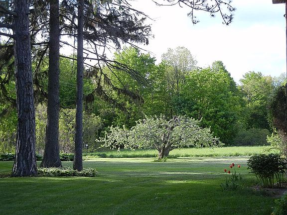 Apple trees lawn perennials.