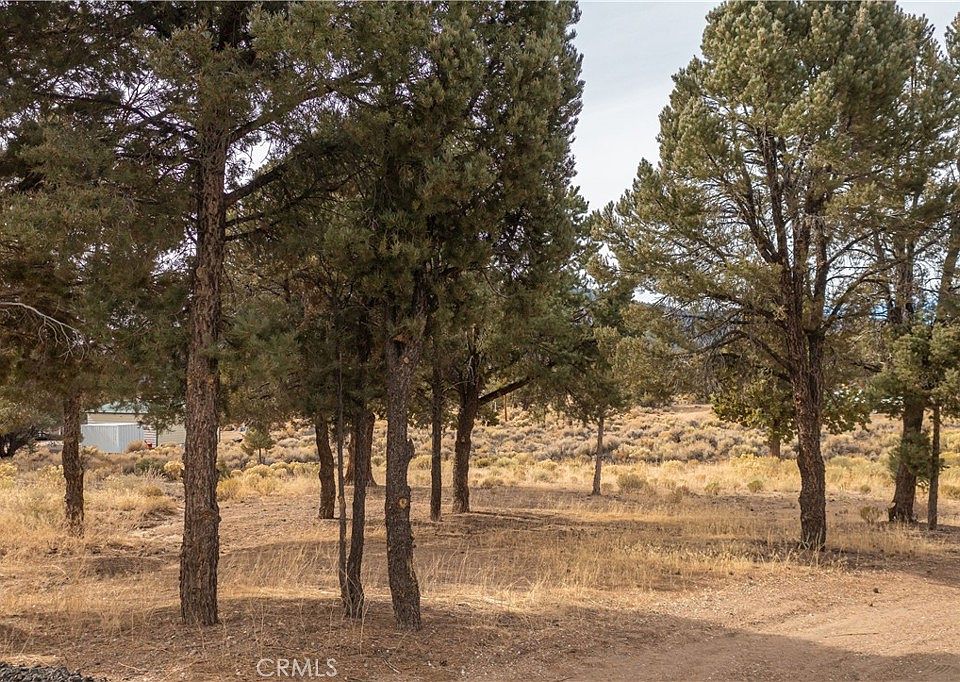 1st image of 1872 Golden Rod Ave #523