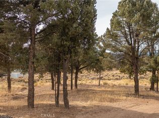 1872 Golden Rod Ave #523, Big Bear City, CA 92314