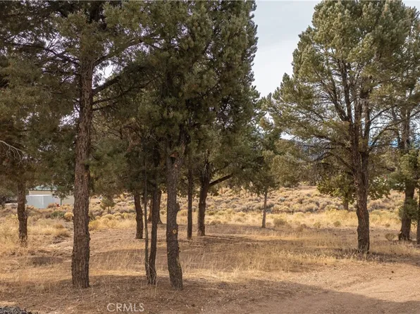 1872 Golden Rod Ave #523, Big Bear City, CA 92314