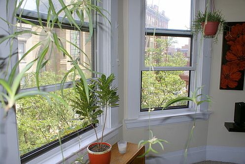 2nd image of 125 W 9th St