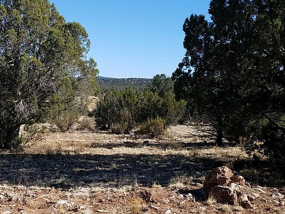 3rd image of 32334 W Forest Ln