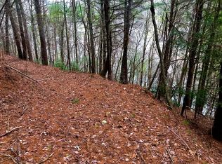 Misty Mountain Trl, Ellijay, GA
