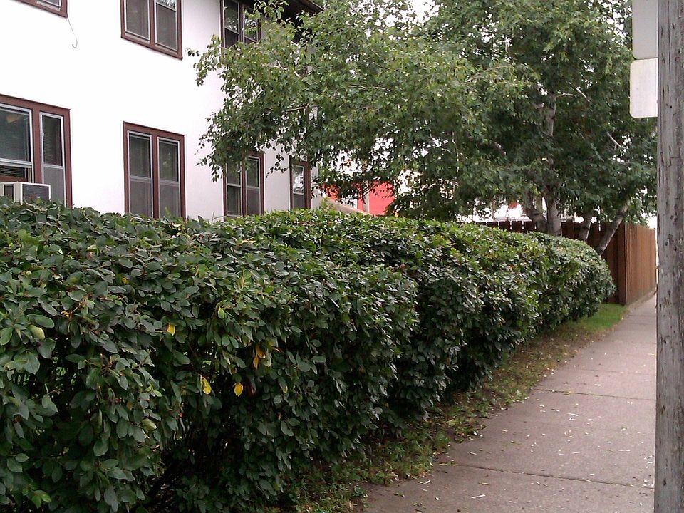 2nd image of 4151 Emerson Ave N