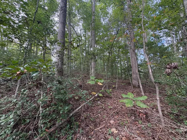 9 Fincastle Rd Lot 9, Rogers, KY 41365