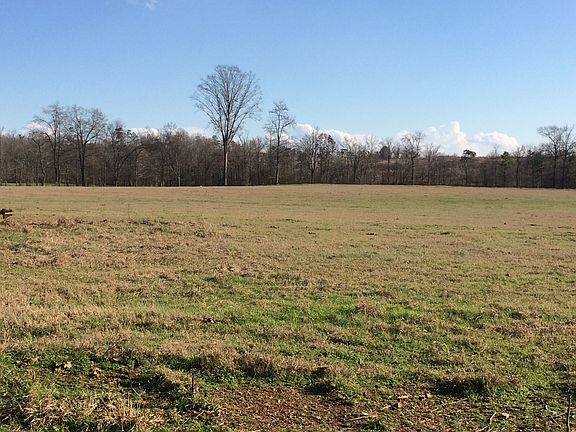 4th image of 213 Creek Trl