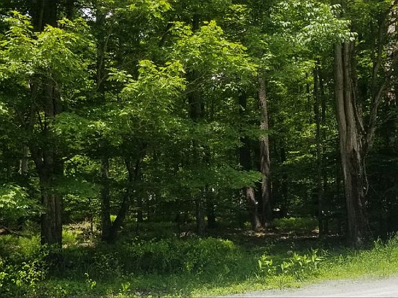 5th image of Rocky Mountain Dr