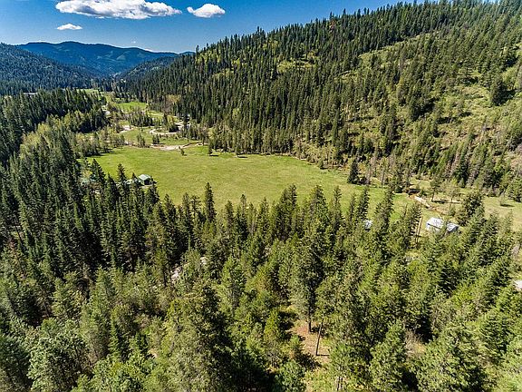 Gorgeous Wolf Lodge Valley