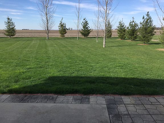 Large back yard