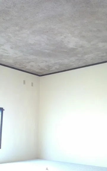 2200-2202 S Lori Ln — Photo 10