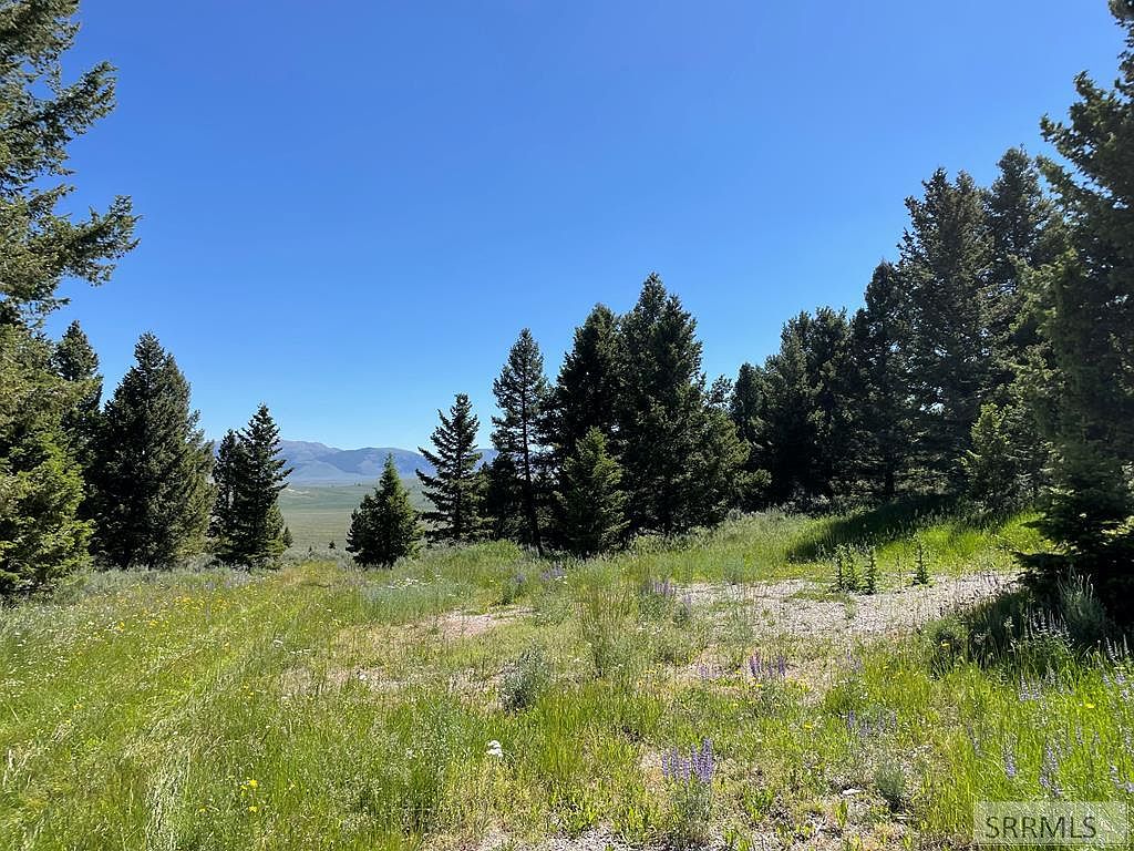 Forest Road Trail Crk, Leadore, ID 83464 MLS 2157929 Zillow