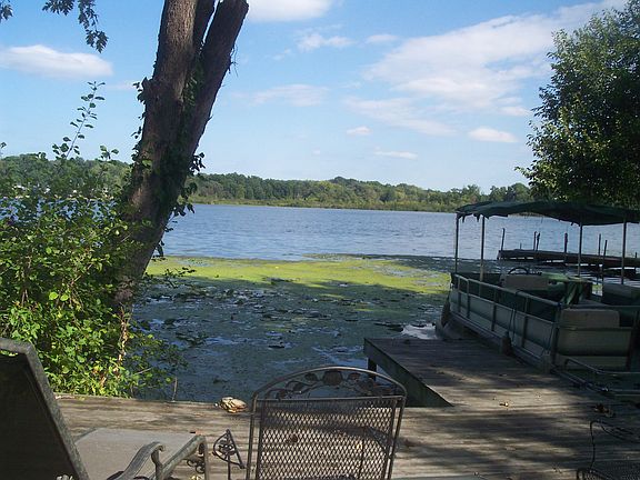 Large Backyard Million$ View