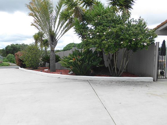 painted driveway curb 2020