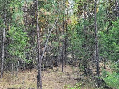 0 Halter Place Road, Tonasket, WA, 98855