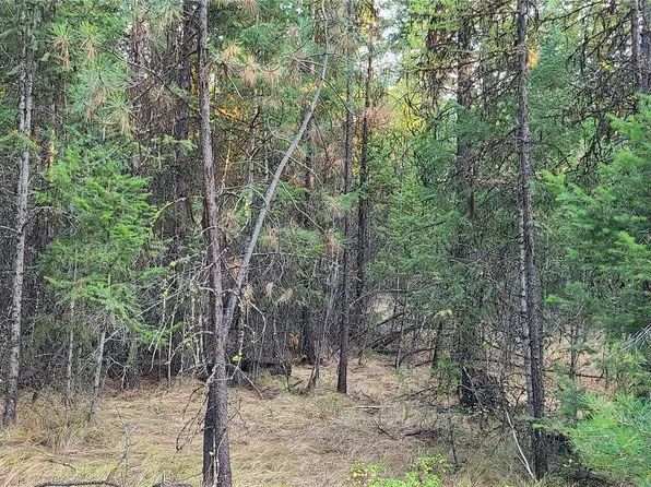 0 Halter Place Road, Tonasket, WA 98855
