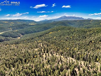 Unknown, Woodland Park, CO, 80863