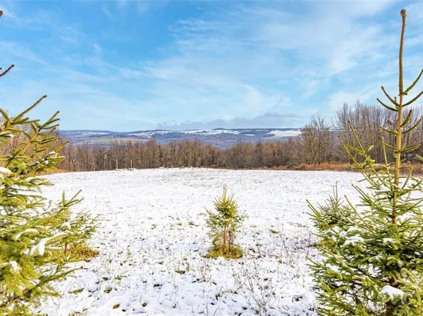 (undisclosed Address), Skaneateles, NY 13152