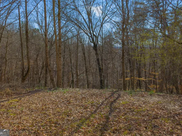 59 Timberwalk Dr, Ellijay, GA 30540