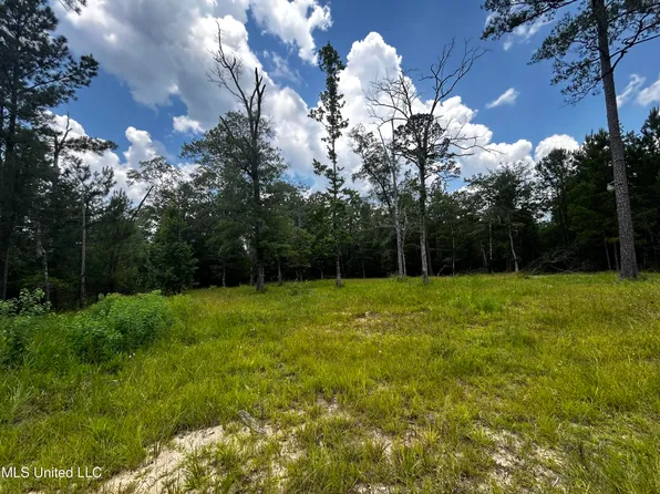15015 Old Highway 24, Leakesville, MS 39451
