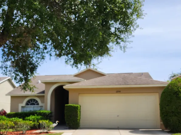 1250 Salt Clay Ct, Zephyrhills, FL 33544