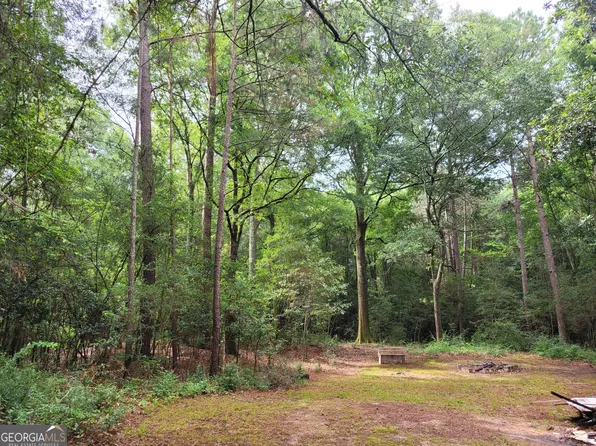 110 Lee St, Hogansville, GA 30230