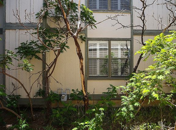 3rd image of 3656 S Cathay Cir