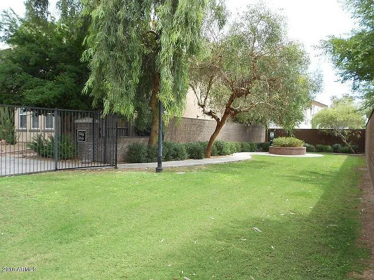 Dog park