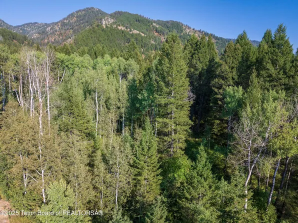 55 Green Canyon Dr #58, Thayne, WY 83127