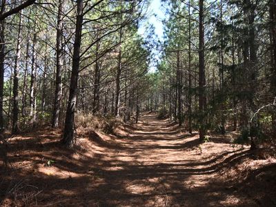 0 Owl Hollow Rd, Linden, TN, 37096