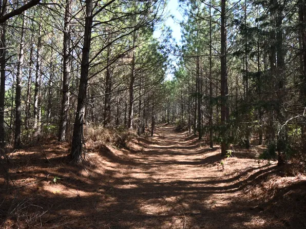 0 Owl Hollow Rd, Linden, TN 37096