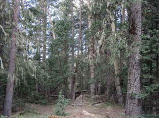 LOT 43 Happy Way, Angel Fire, NM 87710