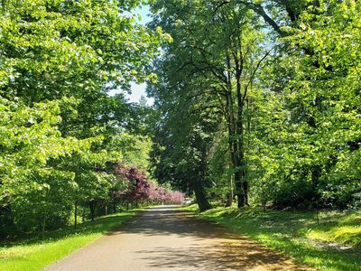 2114 X 212th (Lot #2) Avenue SE, Maple Valley, WA, 98038