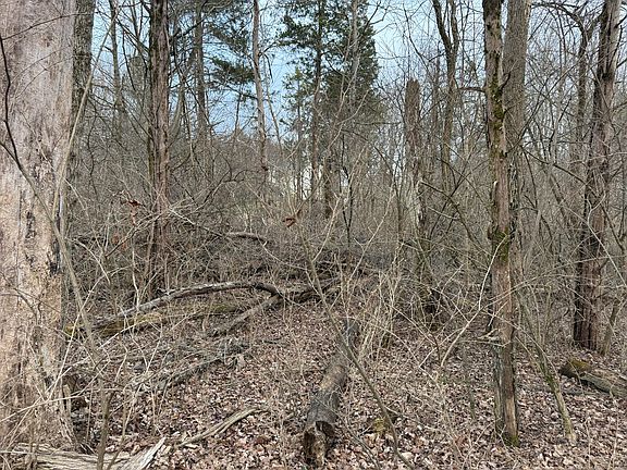 5th image of 7105 Colton Rd