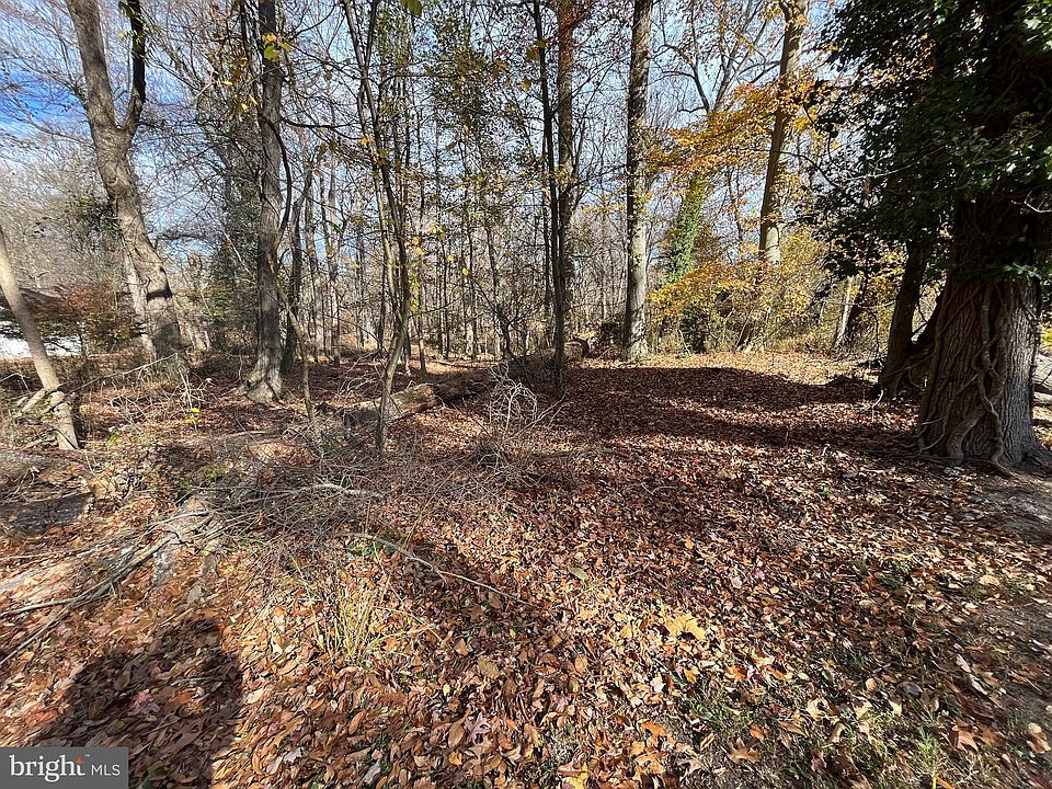 2nd image of 13 White Birch Trl