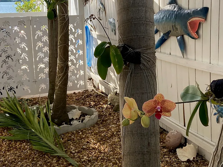 H33 Miriam St — Photo 37