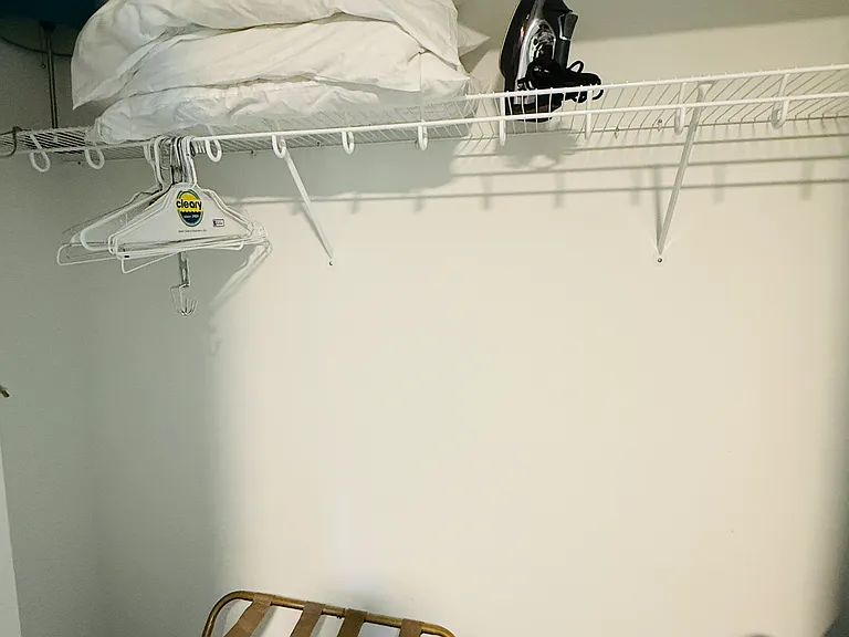 Closet with luggage rack, ironing board and iron.