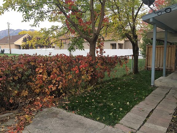 Entrance -View to carport