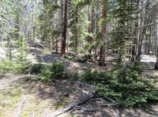 6020 Black Swan, Leadville, CO 80461
