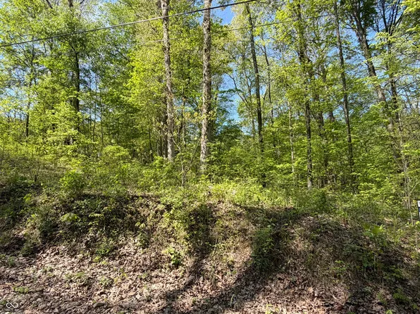 0 Straight Line Rd, Coal City, IN 47427