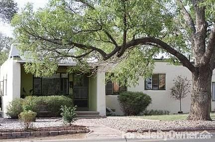 Front view with mature Ash tree