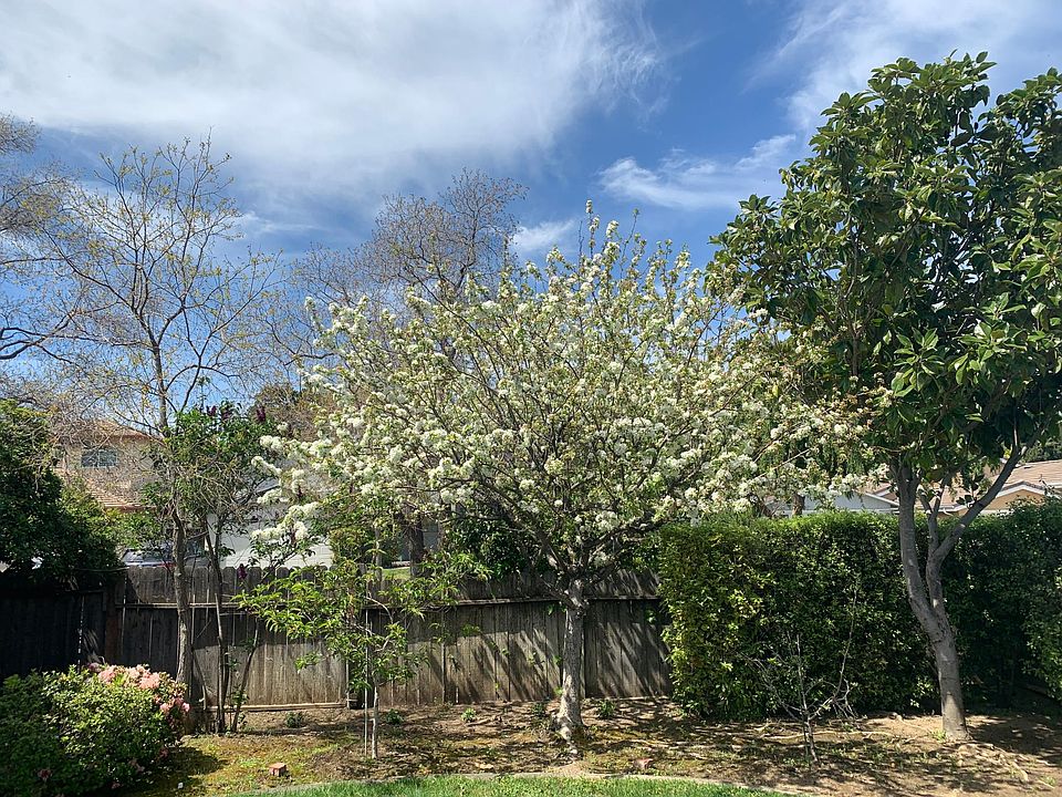 1st image of 7989 Woodlark Way