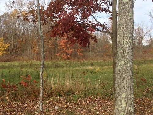 4th image of 902 State Route 61 Lot 89
