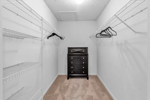 Walk-In Master Closet