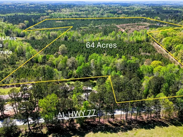 13215 State Highway 77 #0, Roanoke, AL 36274