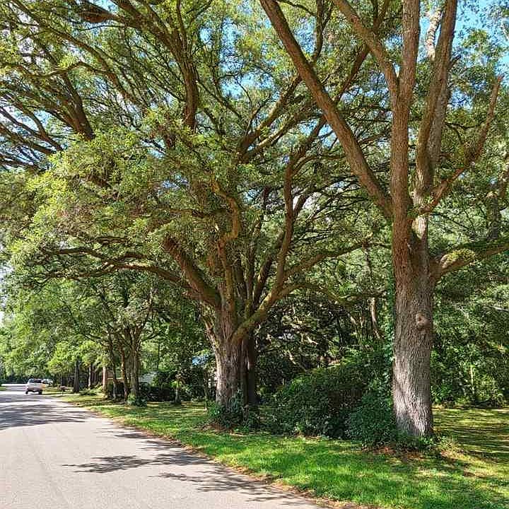 12372 Magnolia St, Magnolia Springs, AL 36555 Zillow