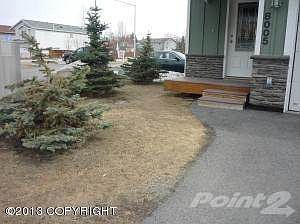 P1010188