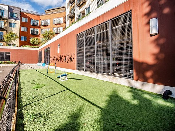 Kent Apartments - The Platform Apartments - Dog Park