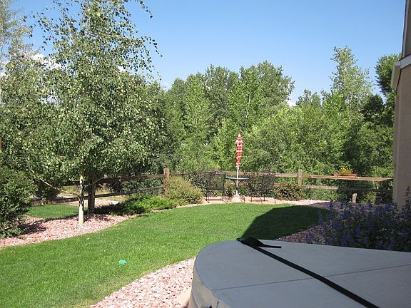 Back overlooking creek