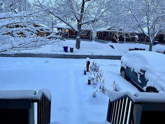 Front-yard
